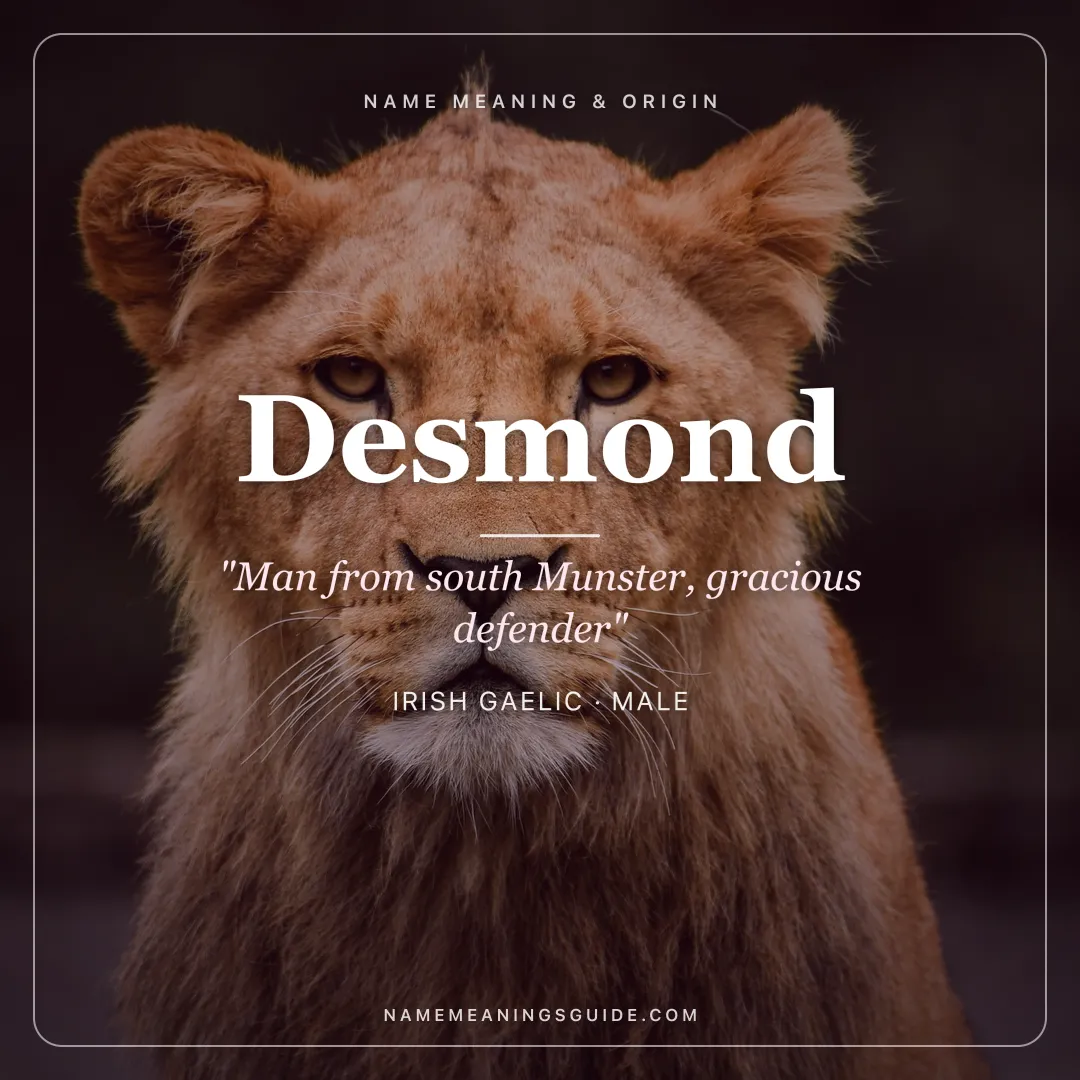 Desmond name meaning "Man from south Munster, gracious defender" - Irish Gaelic male name share card | NameMeanings
