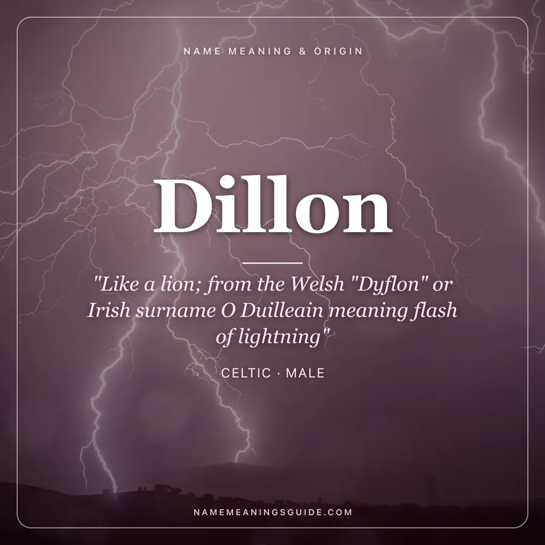 Dillon name meaning "Like a lion; from the Welsh "Dyflon" or Irish surname O Duilleain meaning flash of lightning" - Celtic male name share card | NameMeanings