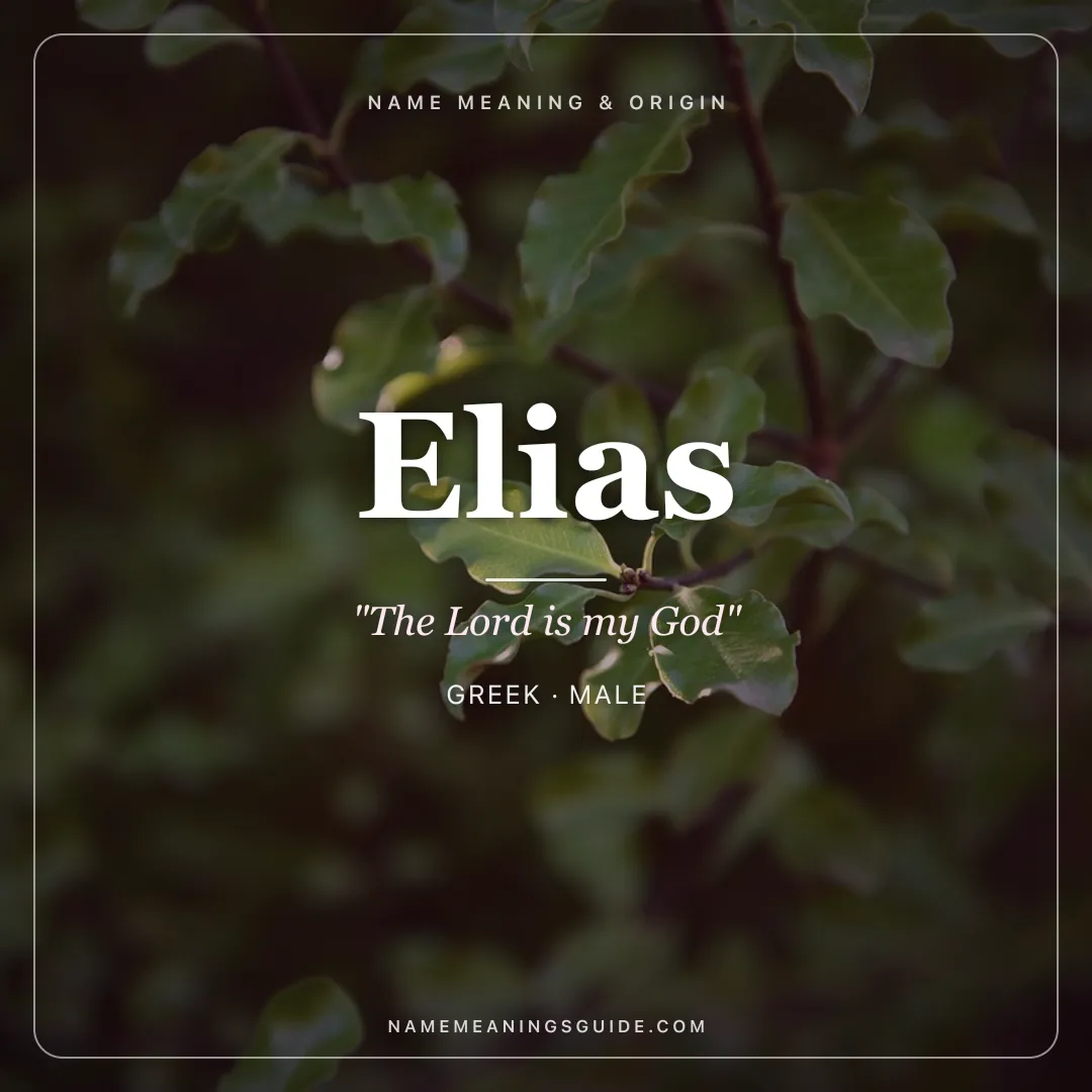 Elias name meaning "The Lord is my God" - Greek, Hebrew male name share card | NameMeanings
