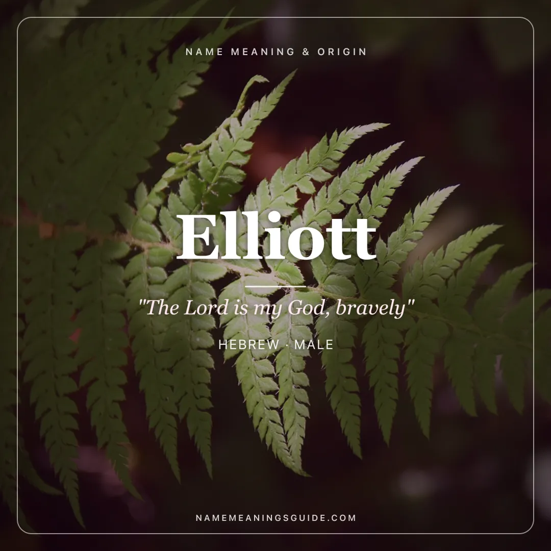 Elliott name meaning "The Lord is my God, bravely" - Hebrew, English male name share card | NameMeanings