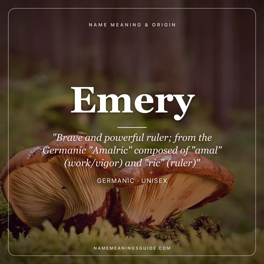 Emery name meaning "Brave and powerful ruler; from the Germanic "Amalric" composed of "amal" (work/vigor) and "ric" (ruler)" - Germanic unisex name share card | NameMeanings