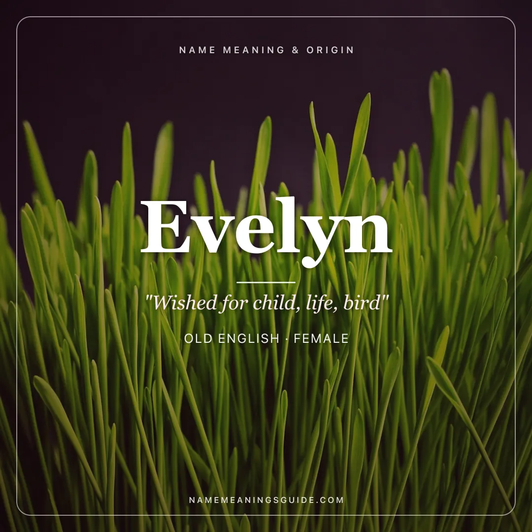 Evelyn name meaning "Wished for child, life, bird" - Old English, Norman female name share card | NameMeanings