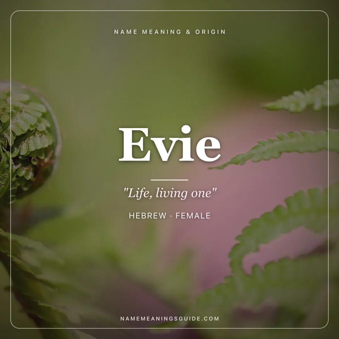 Evie name meaning "Life, living one" - Hebrew, English female name share card | NameMeanings