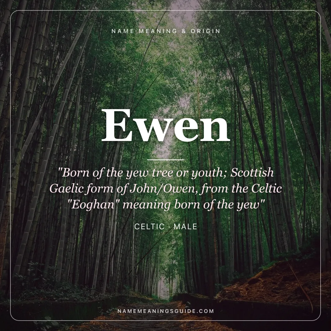 Ewen name meaning "Born of the yew tree or youth; Scottish Gaelic form of John/Owen, from the Celtic "Eoghan" meaning born of the yew" - Celtic male name share card | NameMeanings