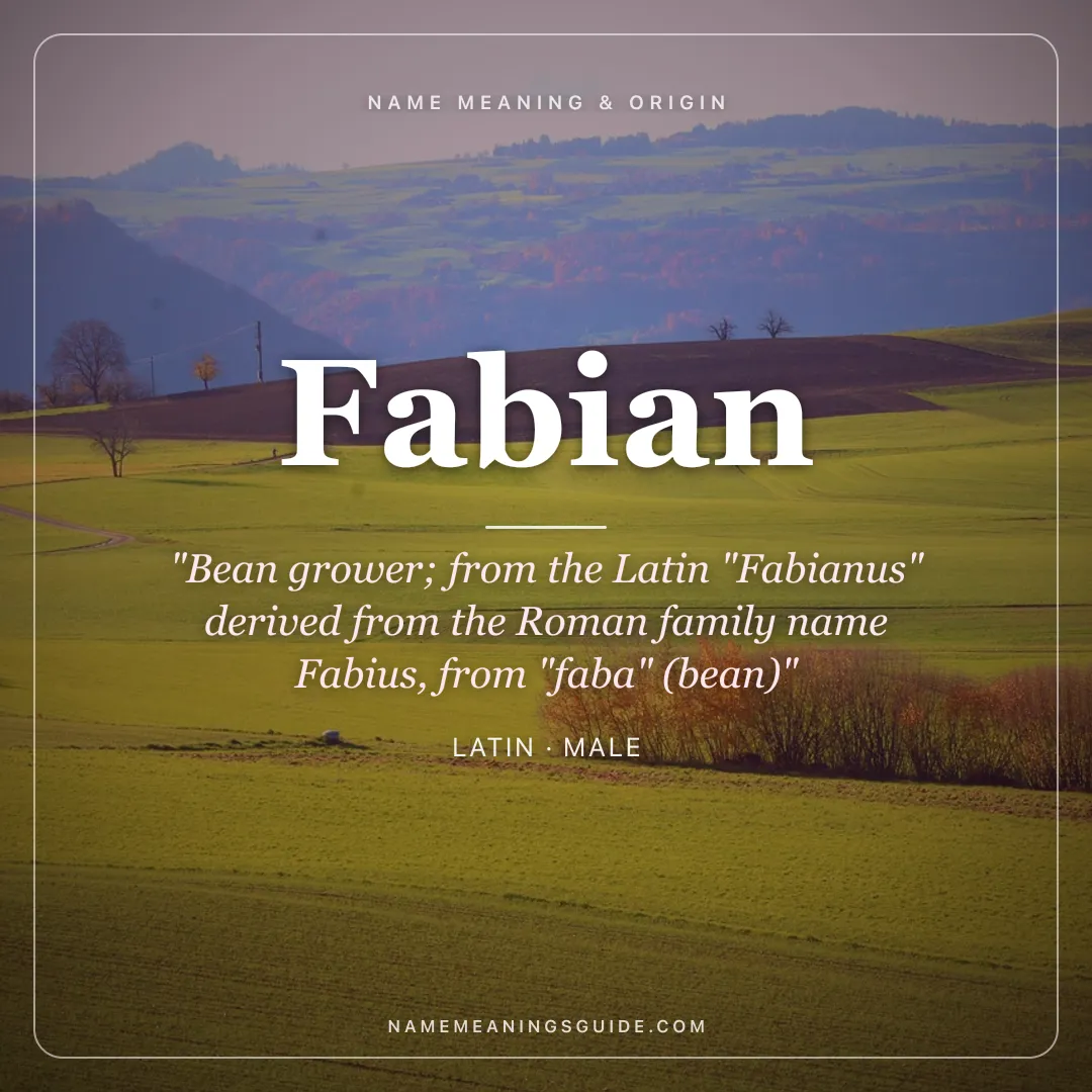 Fabian name meaning "Bean grower; from the Latin "Fabianus" derived from the Roman family name Fabius, from "faba" (bean)" - Latin male name share card | NameMeanings