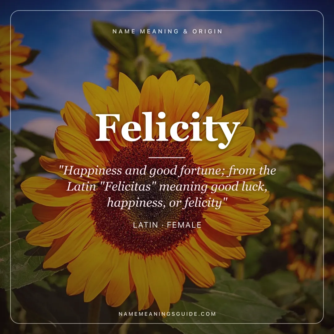 Felicity name meaning "Happiness and good fortune; from the Latin "Felicitas" meaning good luck, happiness, or felicity" - Latin female name share card | NameMeanings