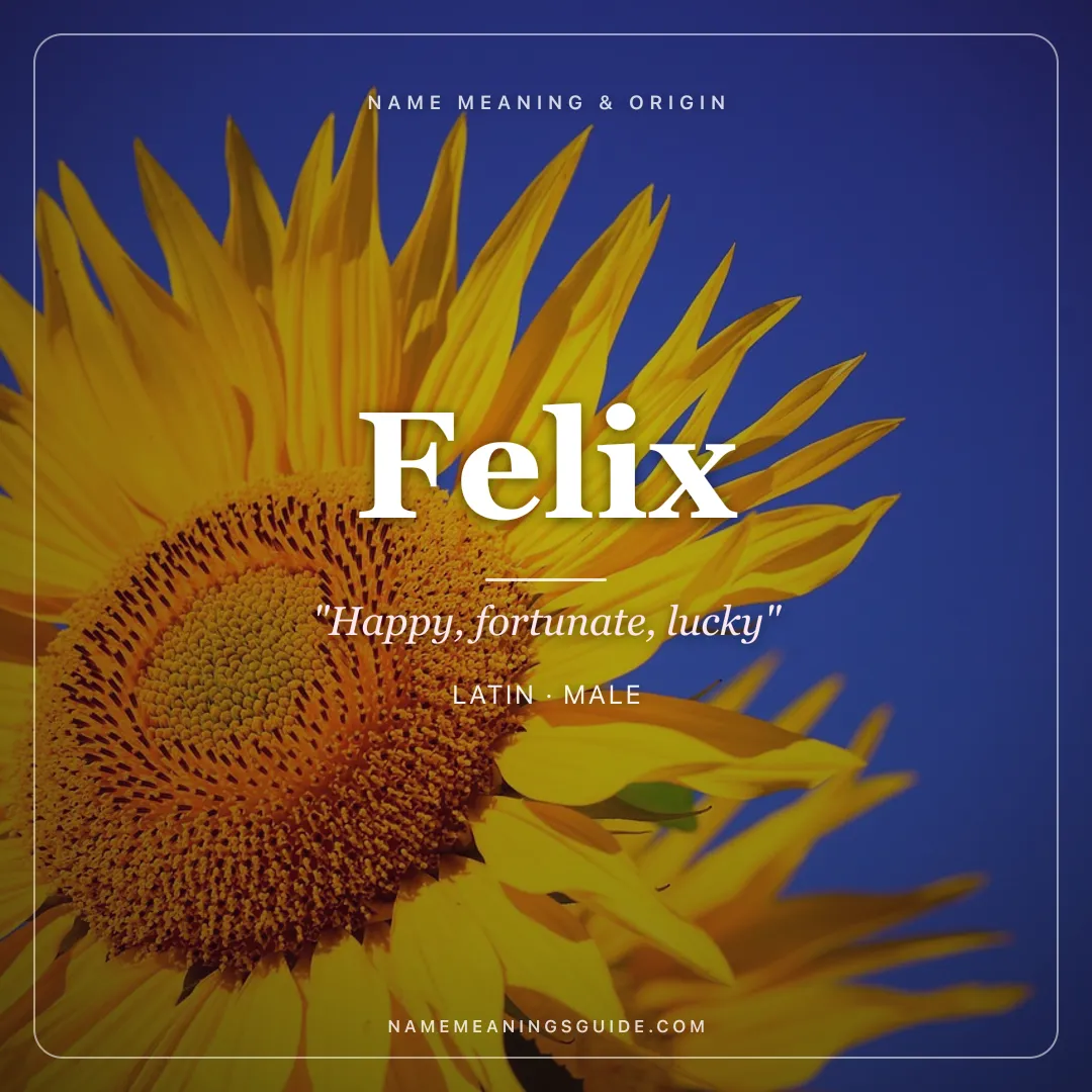 Felix name meaning "Happy, fortunate, lucky" - Latin male name share card | NameMeanings