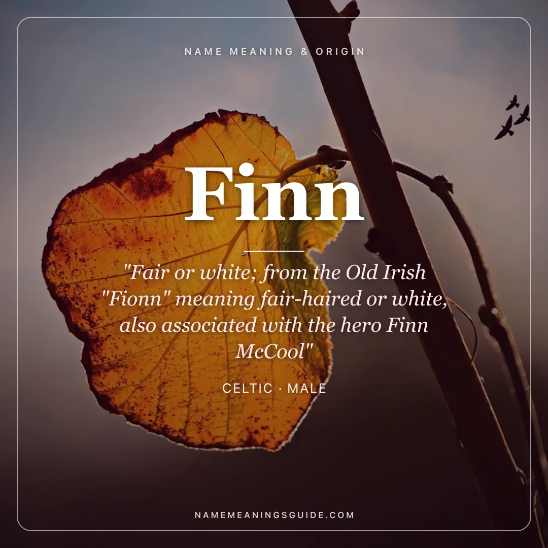 Finn name meaning "Fair or white; from the Old Irish "Fionn" meaning fair-haired or white, also associated with the hero Finn McCool" - Celtic male name share card | NameMeanings