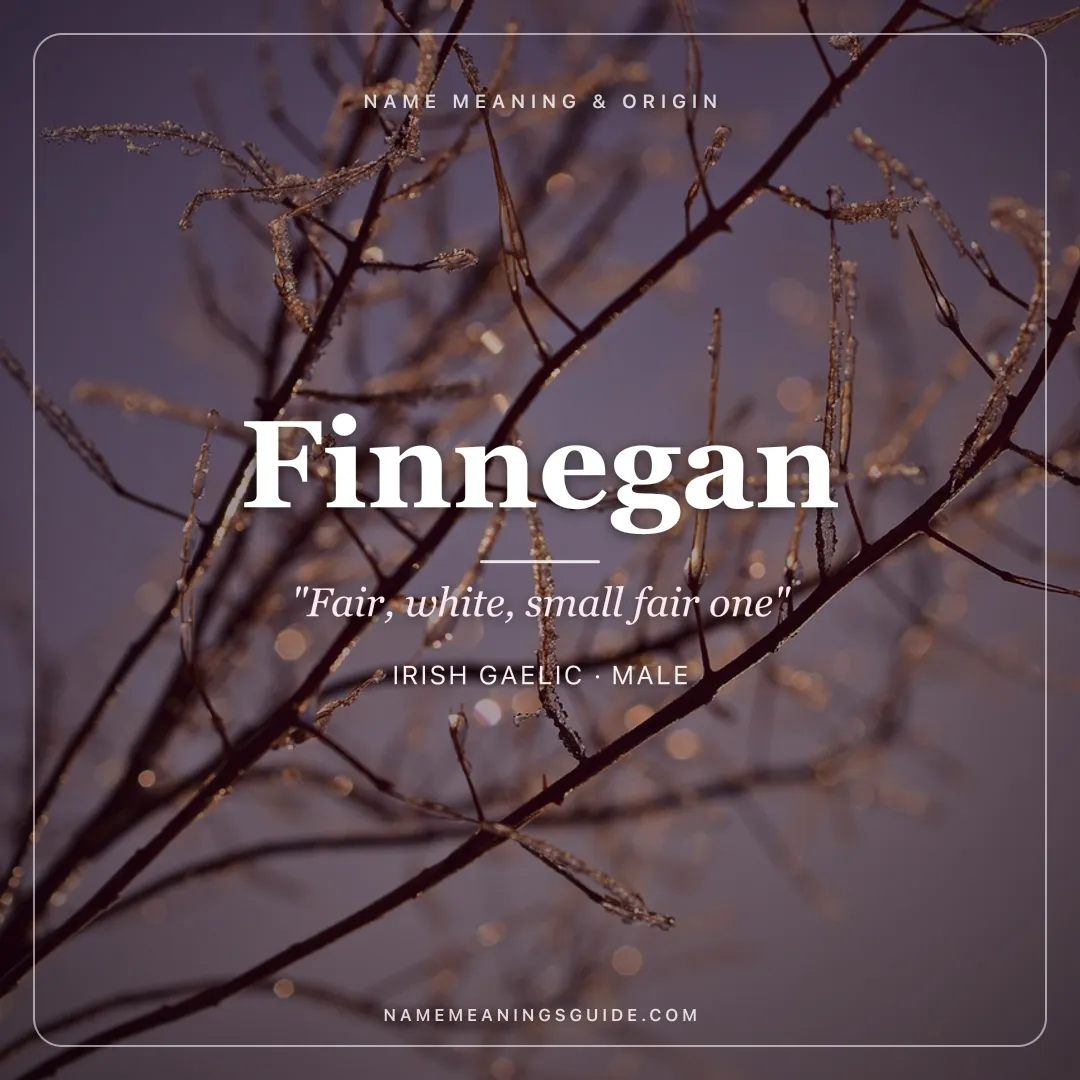Finnegan name meaning "Fair, white, small fair one" - Irish Gaelic male name share card | NameMeanings