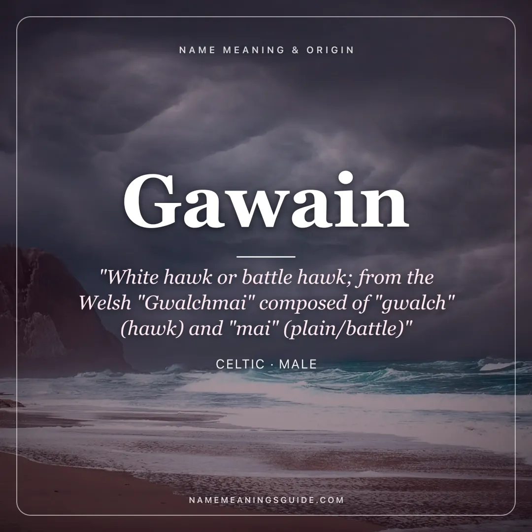 Gawain name meaning "White hawk or battle hawk; from the Welsh "Gwalchmai" composed of "gwalch" (hawk) and "mai" (plain/battle)" - Celtic male name share card | NameMeanings