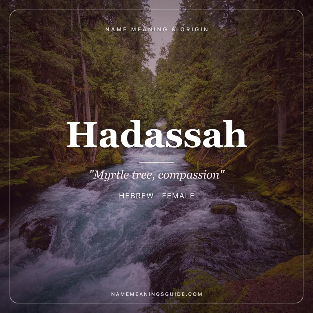 Hadassah name meaning "Myrtle tree, compassion" - Hebrew female name share card | NameMeanings