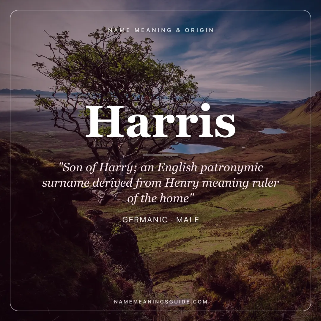 Harris name meaning "Son of Harry; an English patronymic surname derived from Henry meaning ruler of the home" - Germanic male name share card | NameMeanings
