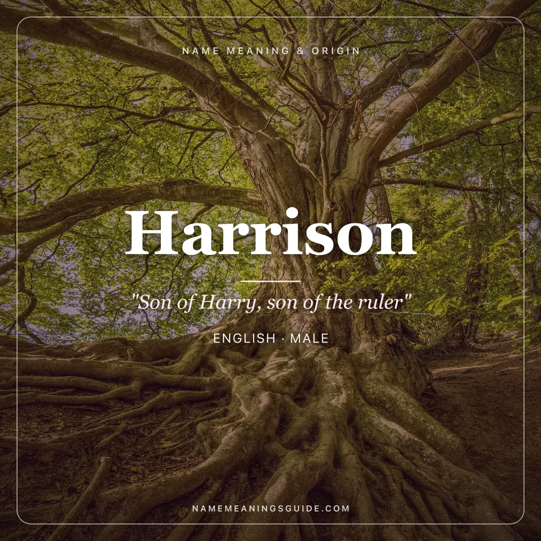 Harrison name meaning "Son of Harry, son of the ruler" - English male name share card | NameMeanings