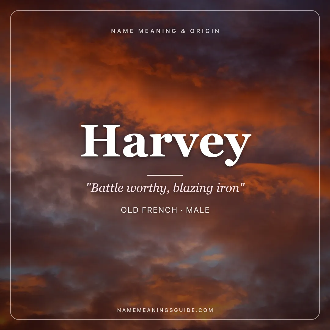 Harvey name meaning "Battle worthy, blazing iron" - Old French, Celtic male name share card | NameMeanings