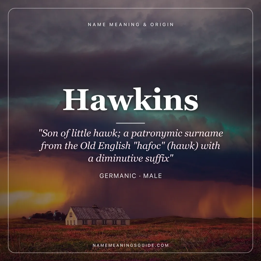 Hawkins name meaning "Son of little hawk; a patronymic surname from the Old English "hafoc" (hawk) with a diminutive suffix" - Germanic male name share card | NameMeanings