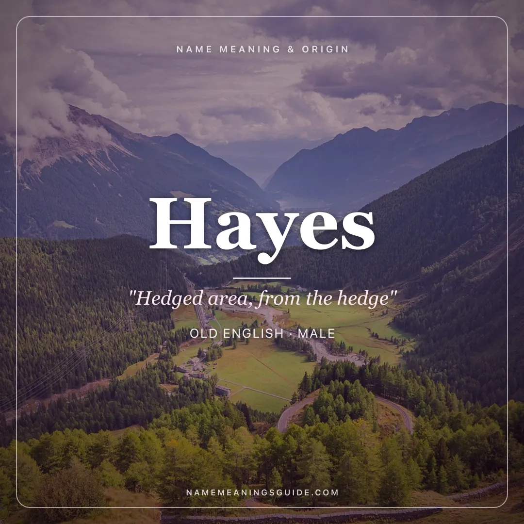 Hayes name meaning "Hedged area, from the hedge" - Old English male name share card | NameMeanings
