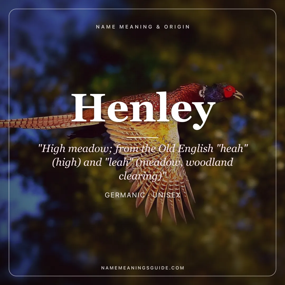Henley name meaning "High meadow; from the Old English "heah" (high) and "leah" (meadow, woodland clearing)" - Germanic unisex name share card | NameMeanings