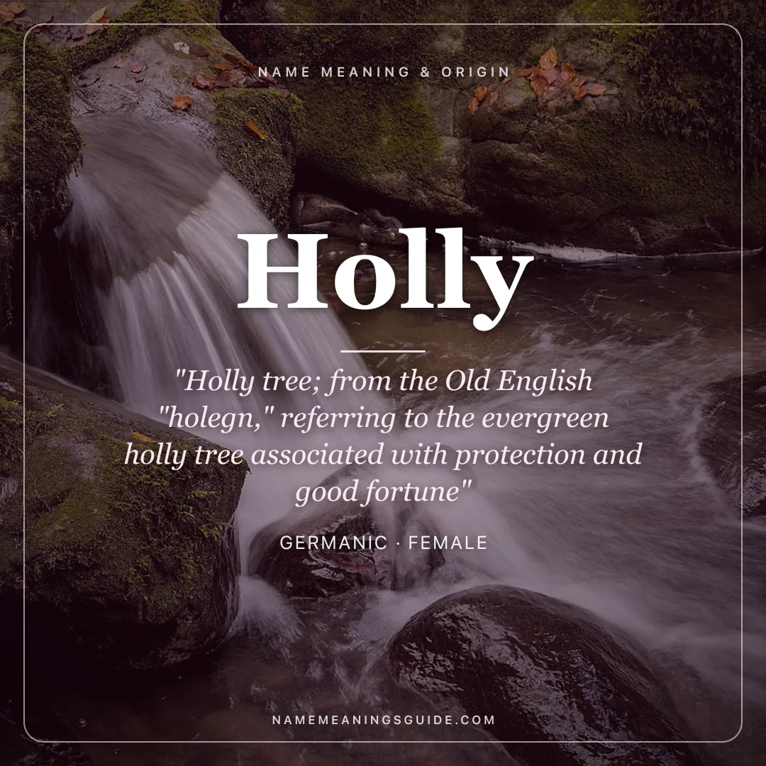 Holly name meaning "Holly tree; from the Old English "holegn," referring to the evergreen holly tree associated with protection and good fortune" - Germanic female name share card | NameMeanings
