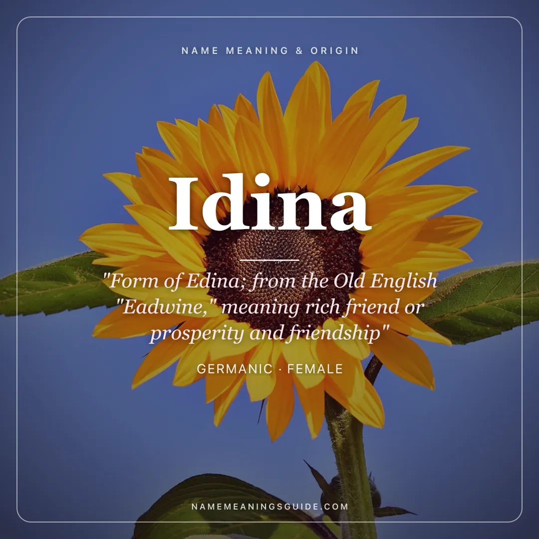 Idina name meaning "Form of Edina; from the Old English "Eadwine," meaning rich friend or prosperity and friendship" - Germanic female name share card | NameMeanings