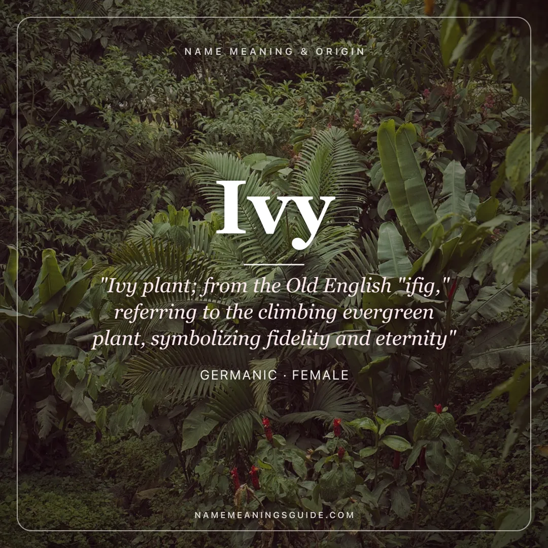 Ivy name meaning "Ivy plant; from the Old English "ifig," referring to the climbing evergreen plant, symbolizing fidelity and eternity" - Germanic female name share card | NameMeanings