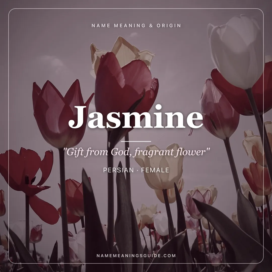 Jasmine name meaning "Gift from God, fragrant flower" - Persian female name share card | NameMeanings