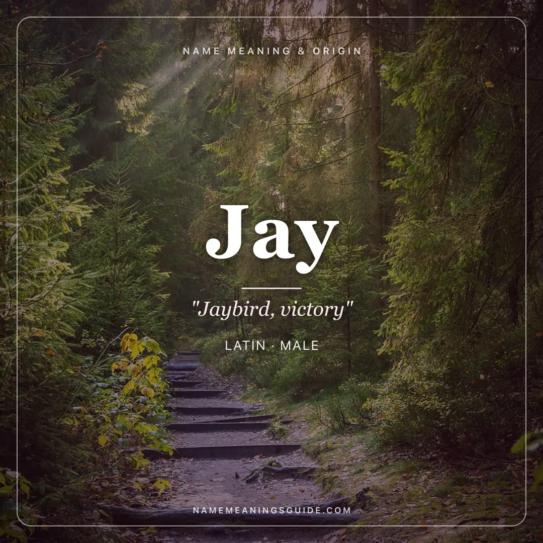 Jay name meaning "Jaybird, victory" - Latin, Sanskrit male name share card | NameMeanings