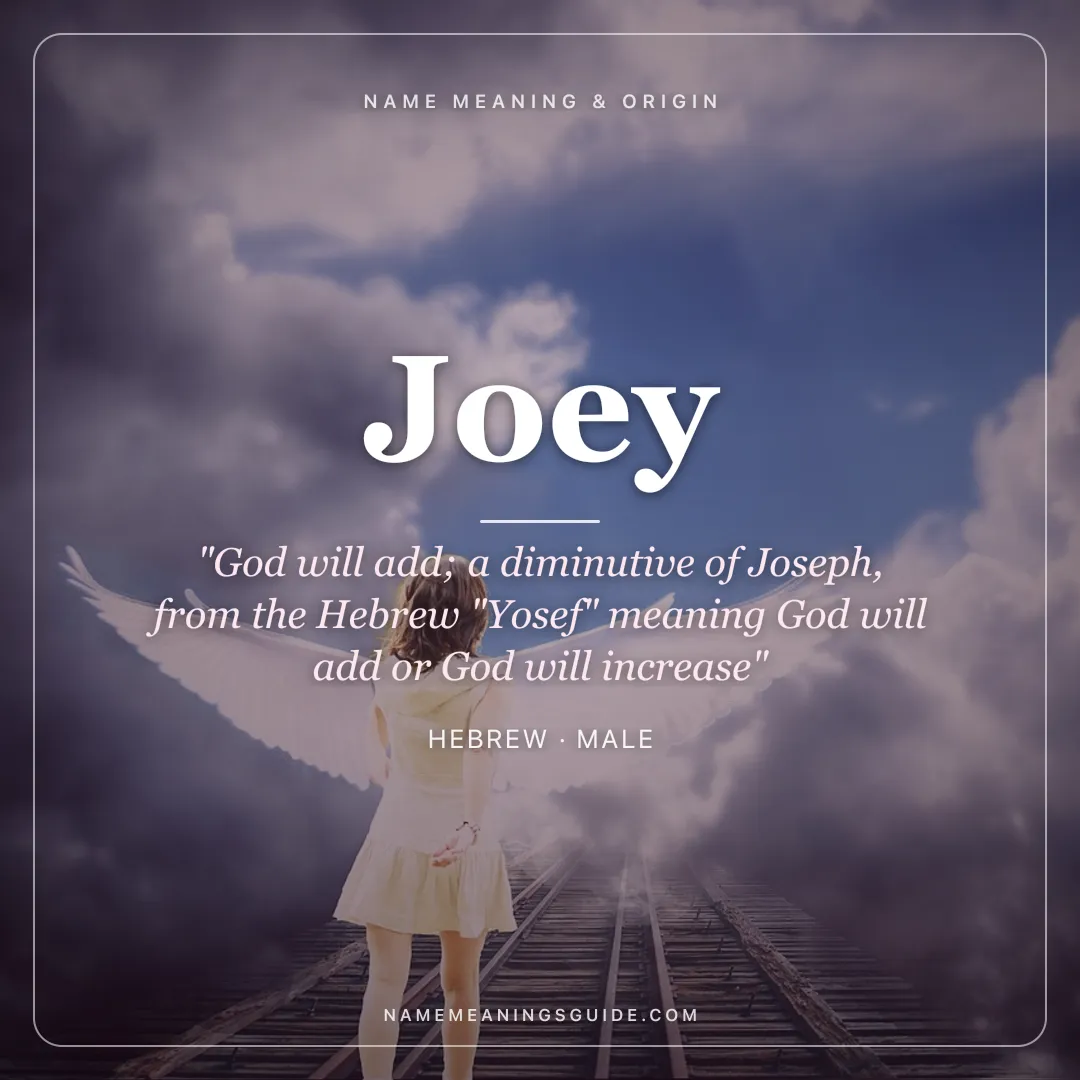 Joey name meaning "God will add; a diminutive of Joseph, from the Hebrew "Yosef" meaning God will add or God will increase" - Hebrew male name share card | NameMeanings