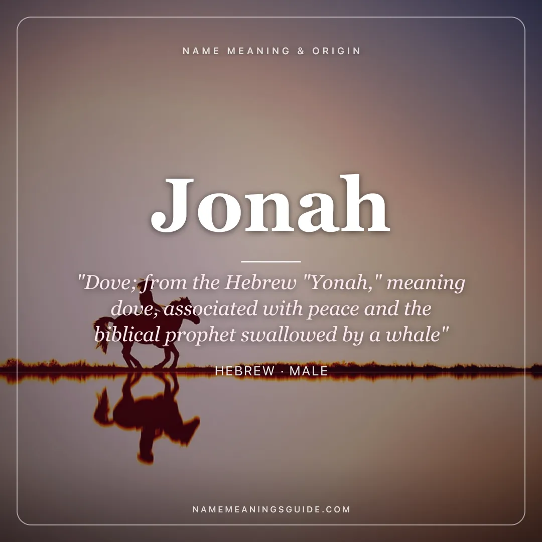 Jonah name meaning "Dove; from the Hebrew "Yonah," meaning dove, associated with peace and the biblical prophet swallowed by a whale" - Hebrew male name share card | NameMeanings