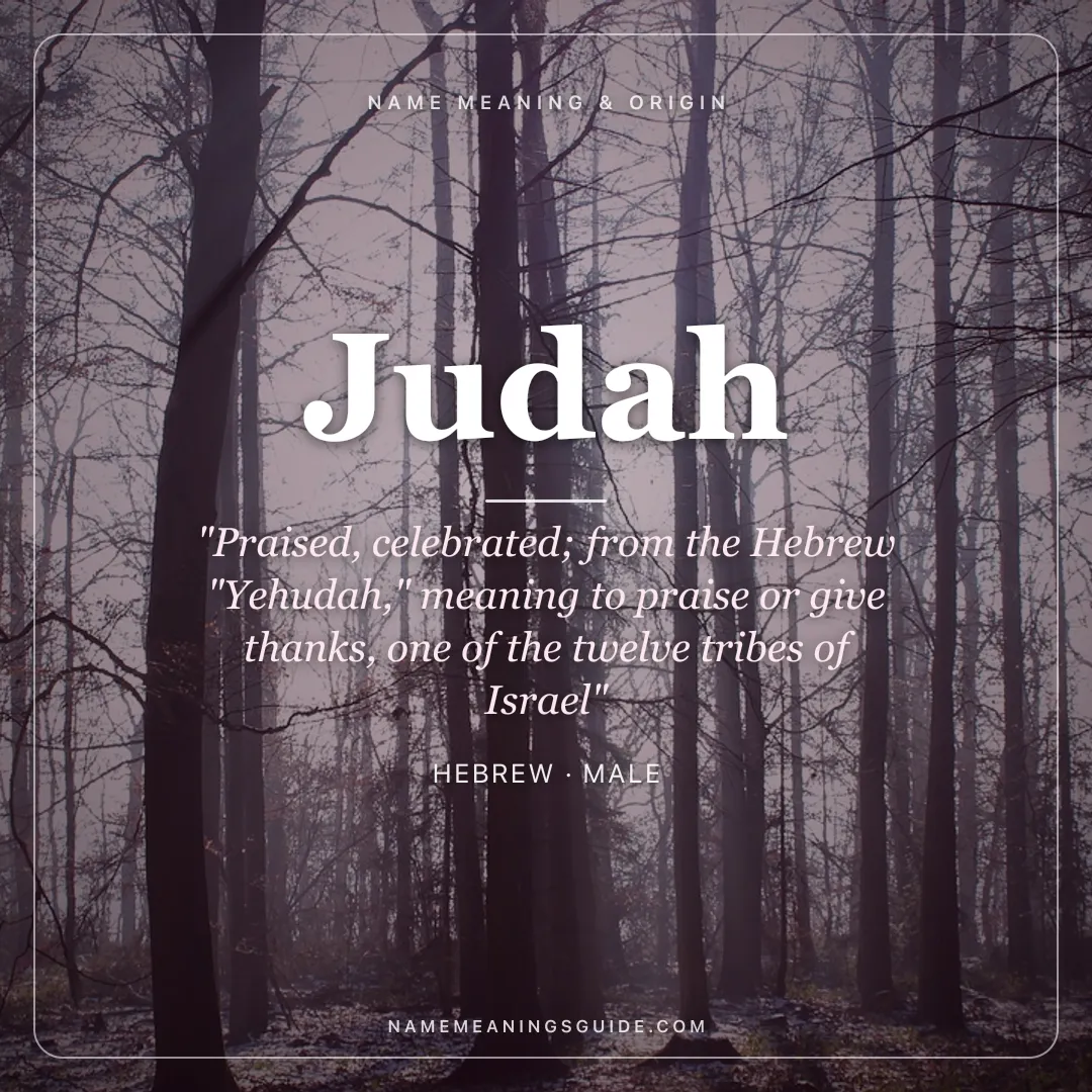 Judah name meaning "Praised, celebrated; from the Hebrew "Yehudah," meaning to praise or give thanks, one of the twelve tribes of Israel" - Hebrew male name share card | NameMeanings