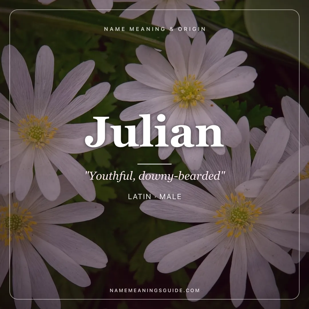 Julian name meaning "Youthful, downy-bearded" - Latin male name share card | NameMeanings