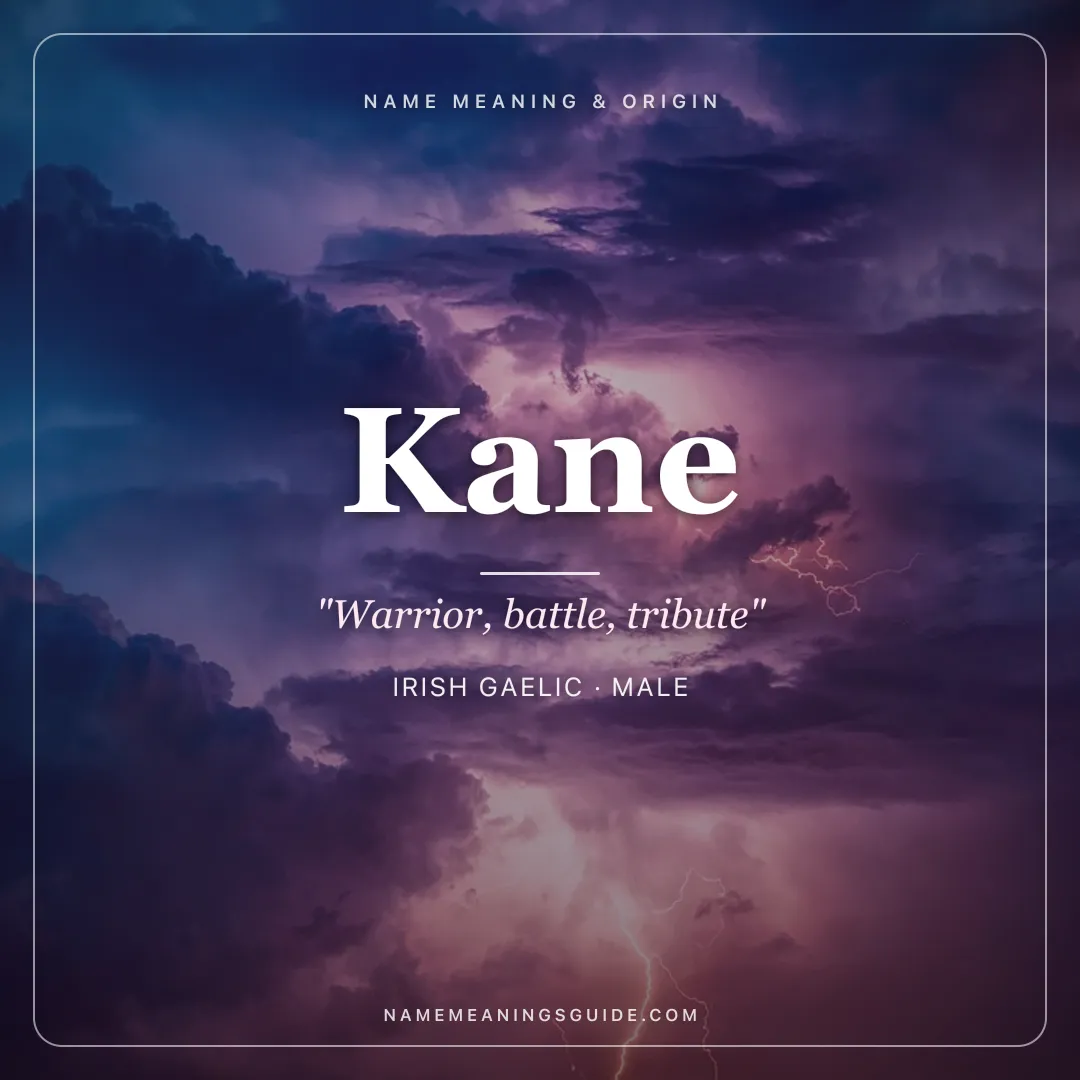 Kane name meaning "Warrior, battle, tribute" - Irish Gaelic, Welsh male name share card | NameMeanings