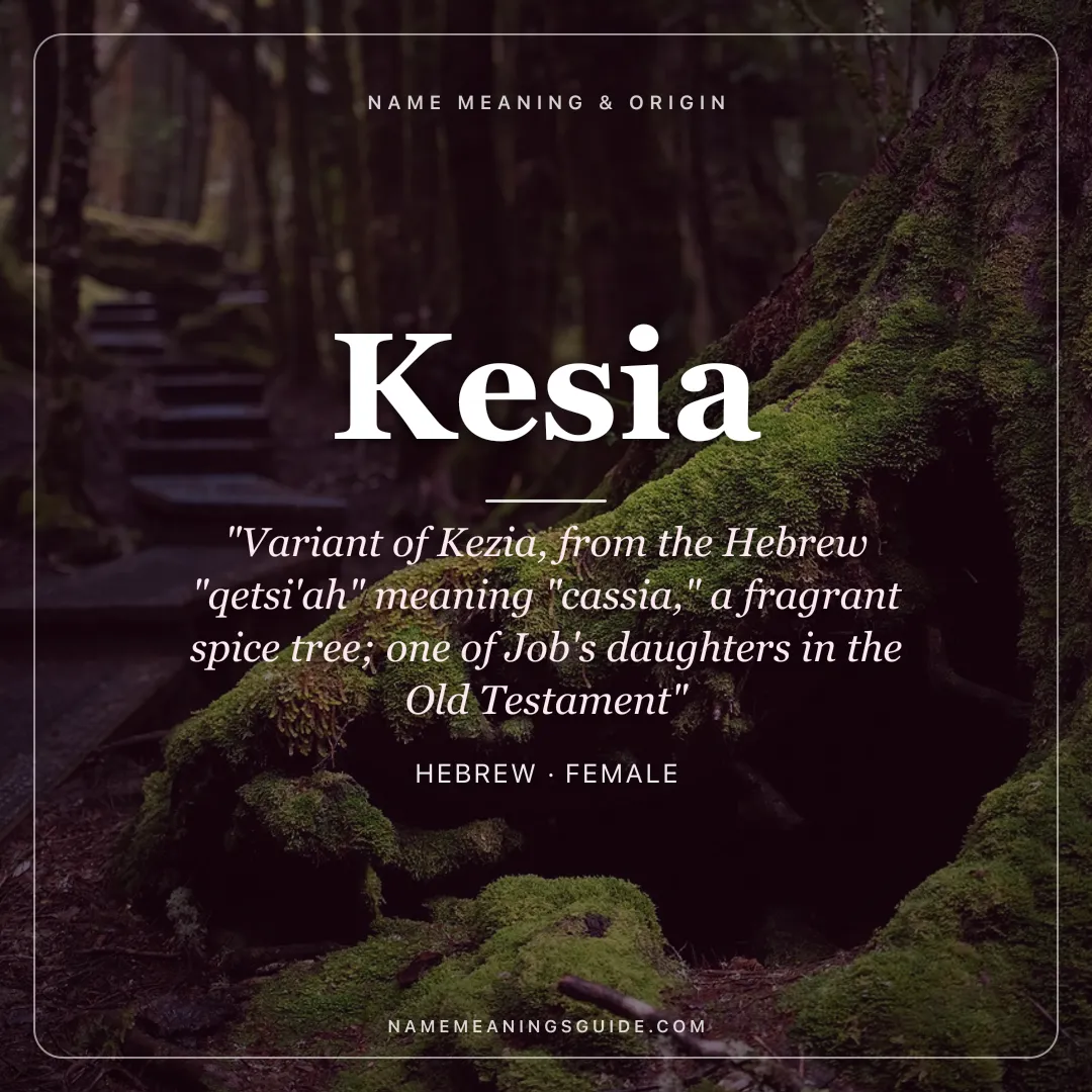 Kesia name meaning "Variant of Kezia, from the Hebrew "qetsi'ah" meaning "cassia," a fragrant spice tree; one of Job's daughters in the Old Testament" - Hebrew female name share card | NameMeanings