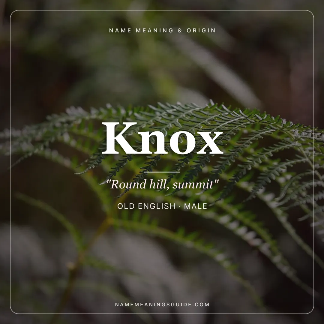 Knox name meaning "Round hill, summit" - Old English, Scottish male name share card | NameMeanings