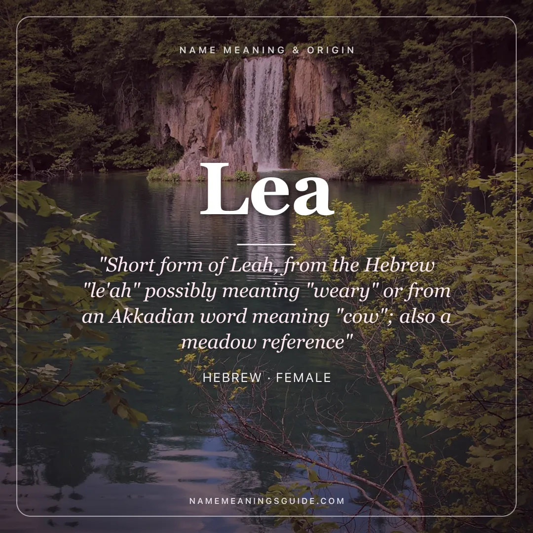 Lea name meaning "Short form of Leah, from the Hebrew "le'ah" possibly meaning "weary" or from an Akkadian word meaning "cow"; also a meadow reference" - Hebrew female name share card | NameMeanings