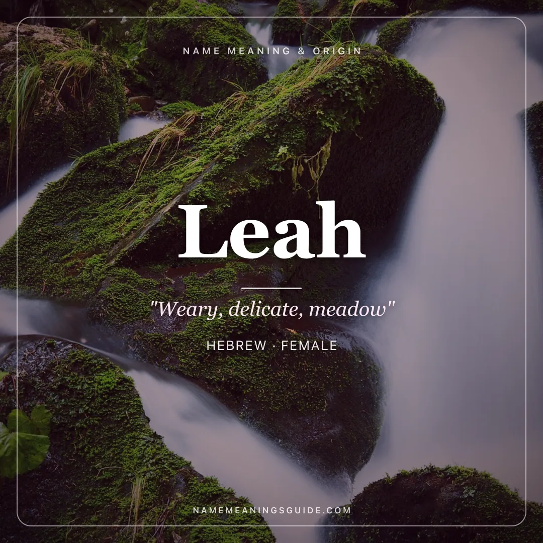 Leah name meaning "Weary, delicate, meadow" - Hebrew female name share card | NameMeanings