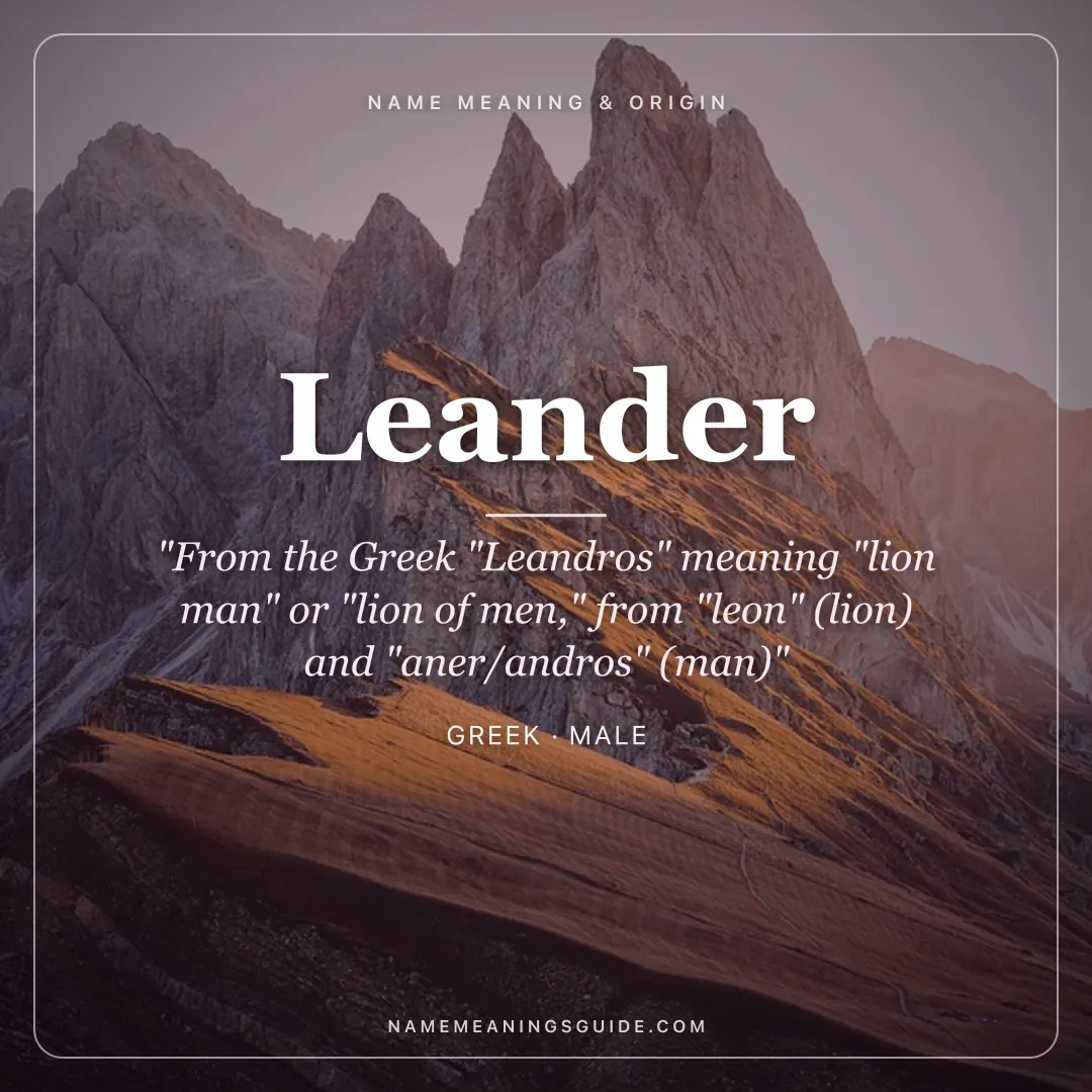 Leander name meaning "From the Greek "Leandros" meaning "lion man" or "lion of men," from "leon" (lion) and "aner/andros" (man)" - Greek male name share card | NameMeanings