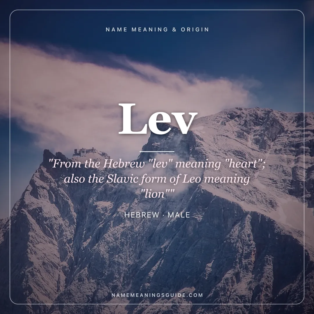Lev name meaning "From the Hebrew "lev" meaning "heart"; also the Slavic form of Leo meaning "lion"" - Hebrew male name share card | NameMeanings
