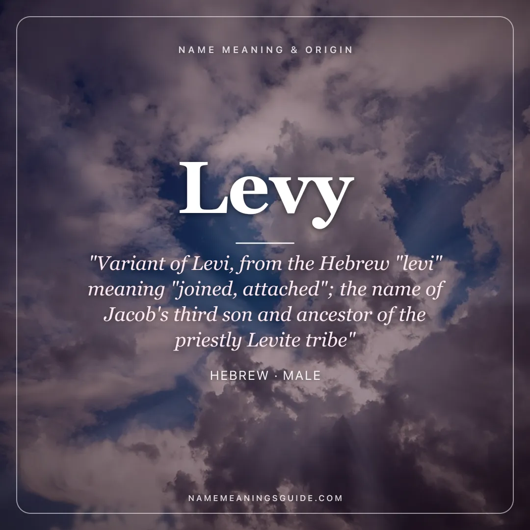 Levy name meaning "Variant of Levi, from the Hebrew "levi" meaning "joined, attached"; the name of Jacob's third son and ancestor of the priestly Levite tribe" - Hebrew male name share card | NameMeanings