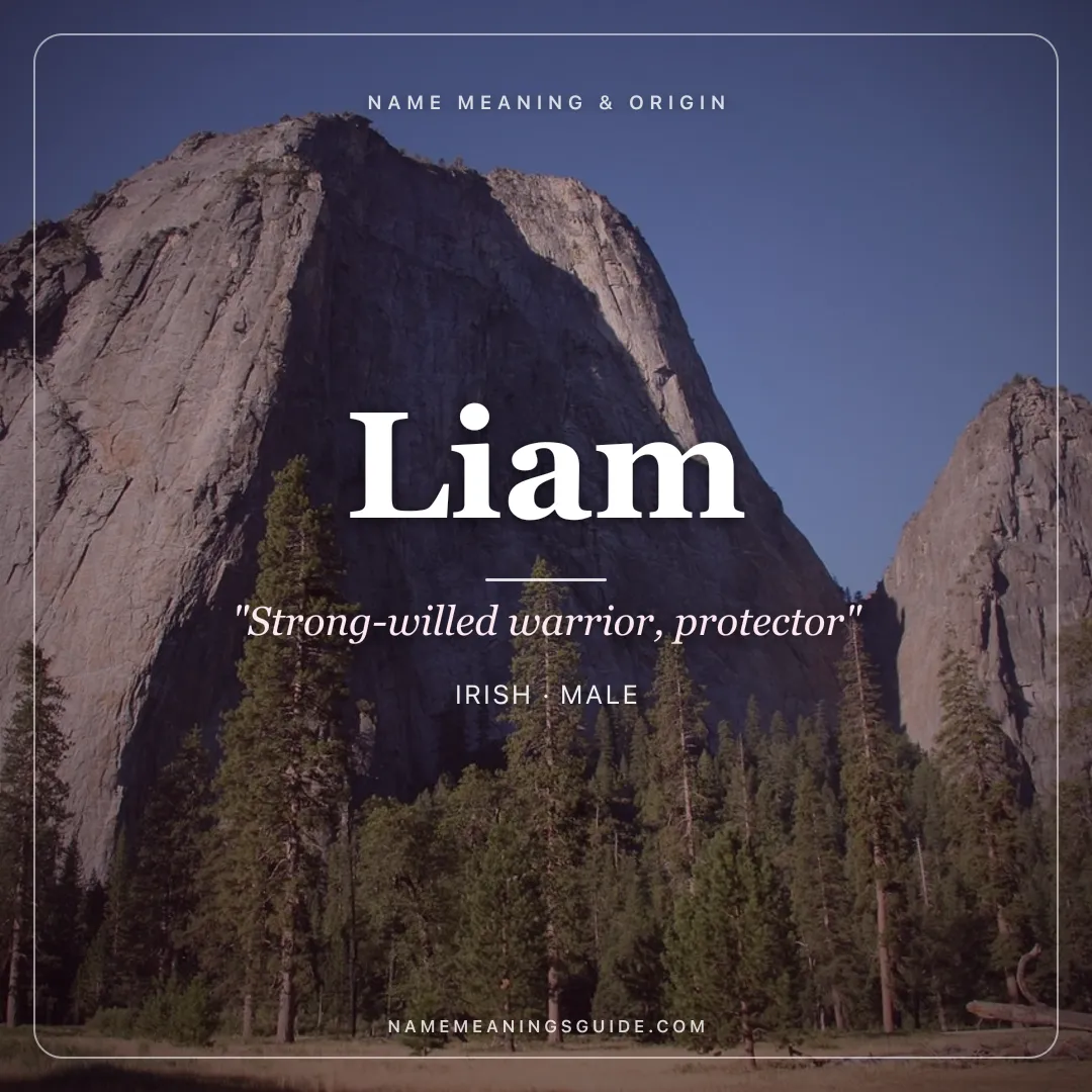 Liam name meaning "Strong-willed warrior, protector" - Irish male name share card | NameMeanings