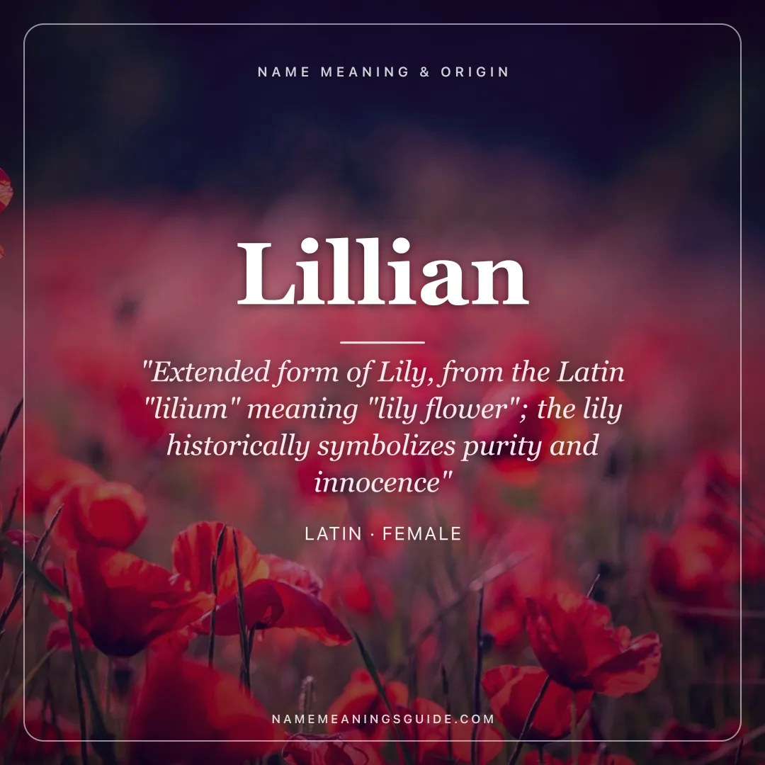 Lillian name meaning "Extended form of Lily, from the Latin "lilium" meaning "lily flower"; the lily historically symbolizes purity and innocence" - Latin female name share card | NameMeanings