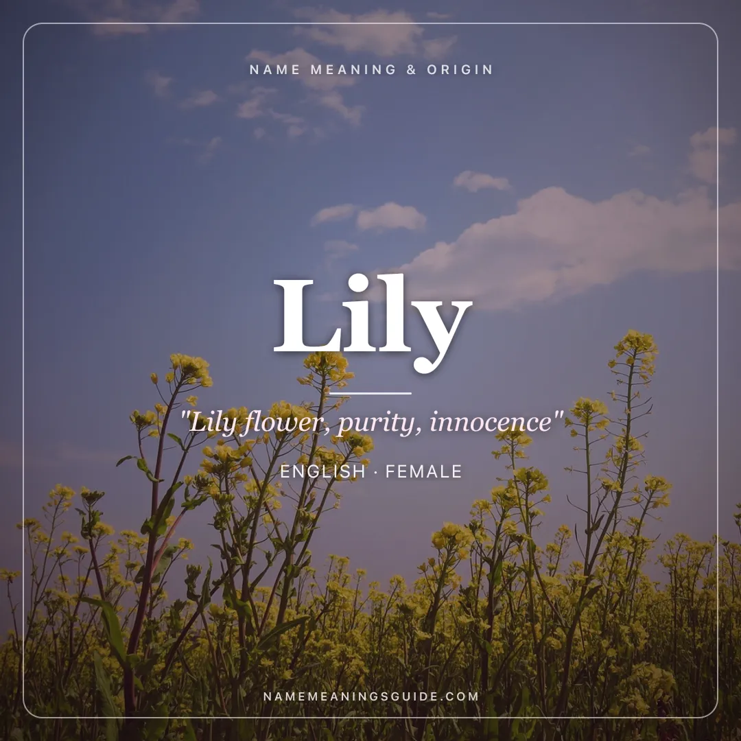 Lily name meaning "Lily flower, purity, innocence" - English, Latin female name share card | NameMeanings