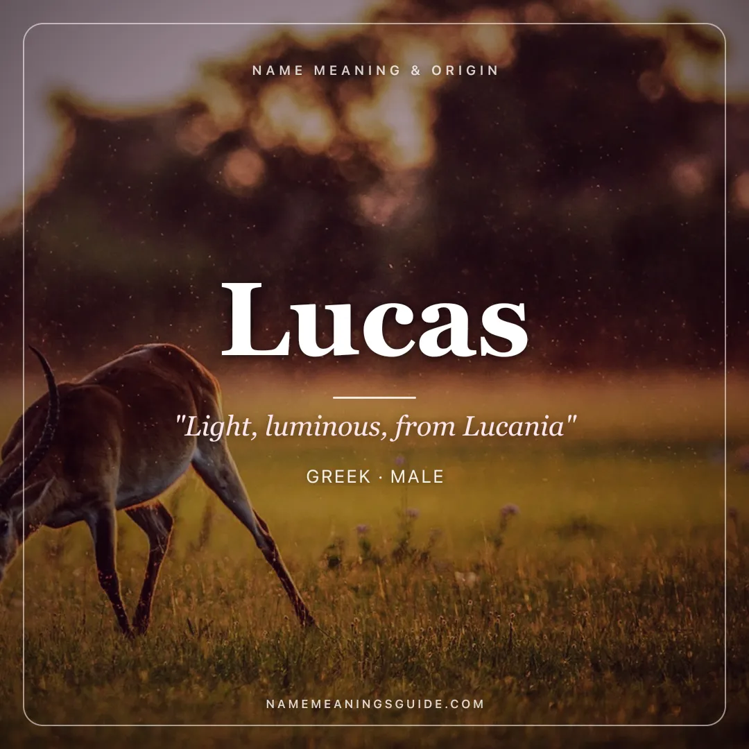Lucas name meaning "Light, luminous, from Lucania" - Greek, Latin male name share card | NameMeanings