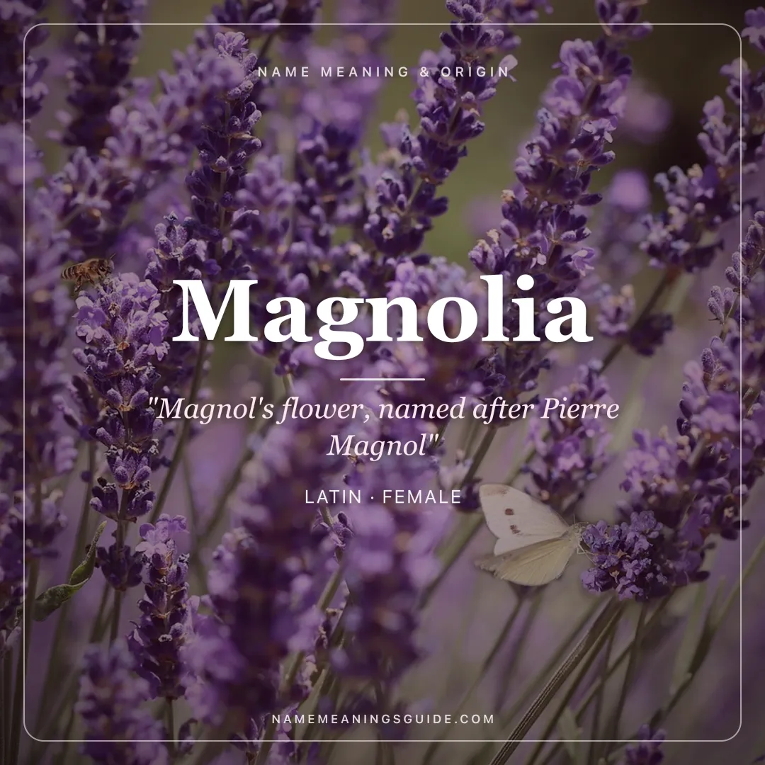 Magnolia name meaning "Magnol's flower, named after Pierre Magnol" - Latin, French female name share card | NameMeanings