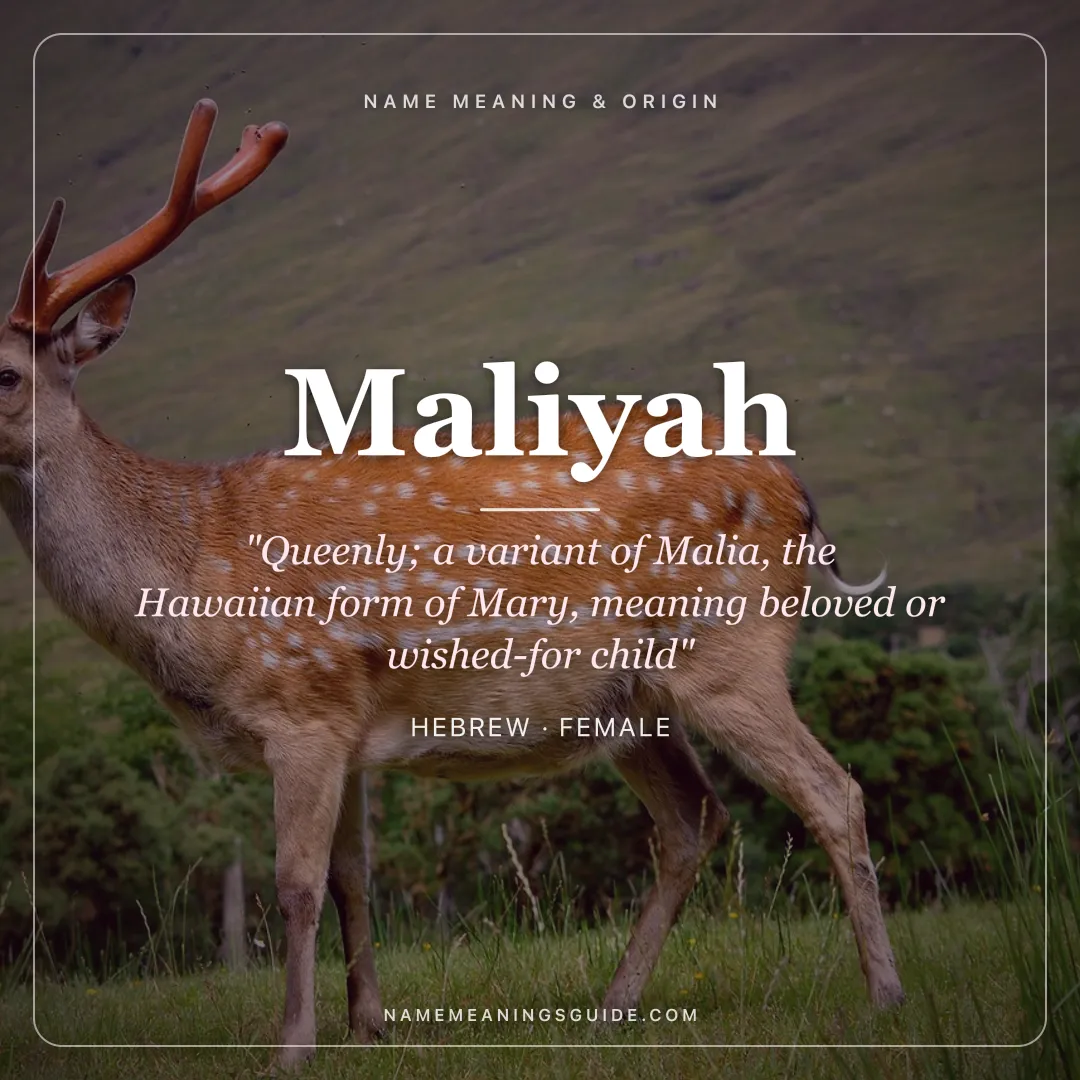Maliyah name meaning "Queenly; a variant of Malia, the Hawaiian form of Mary, meaning beloved or wished-for child" - Hebrew female name share card | NameMeanings