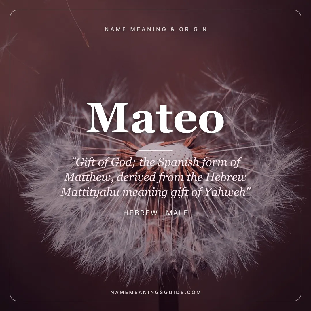 Mateo name meaning "Gift of God; the Spanish form of Matthew, derived from the Hebrew Mattityahu meaning gift of Yahweh" - Hebrew male name share card | NameMeanings
