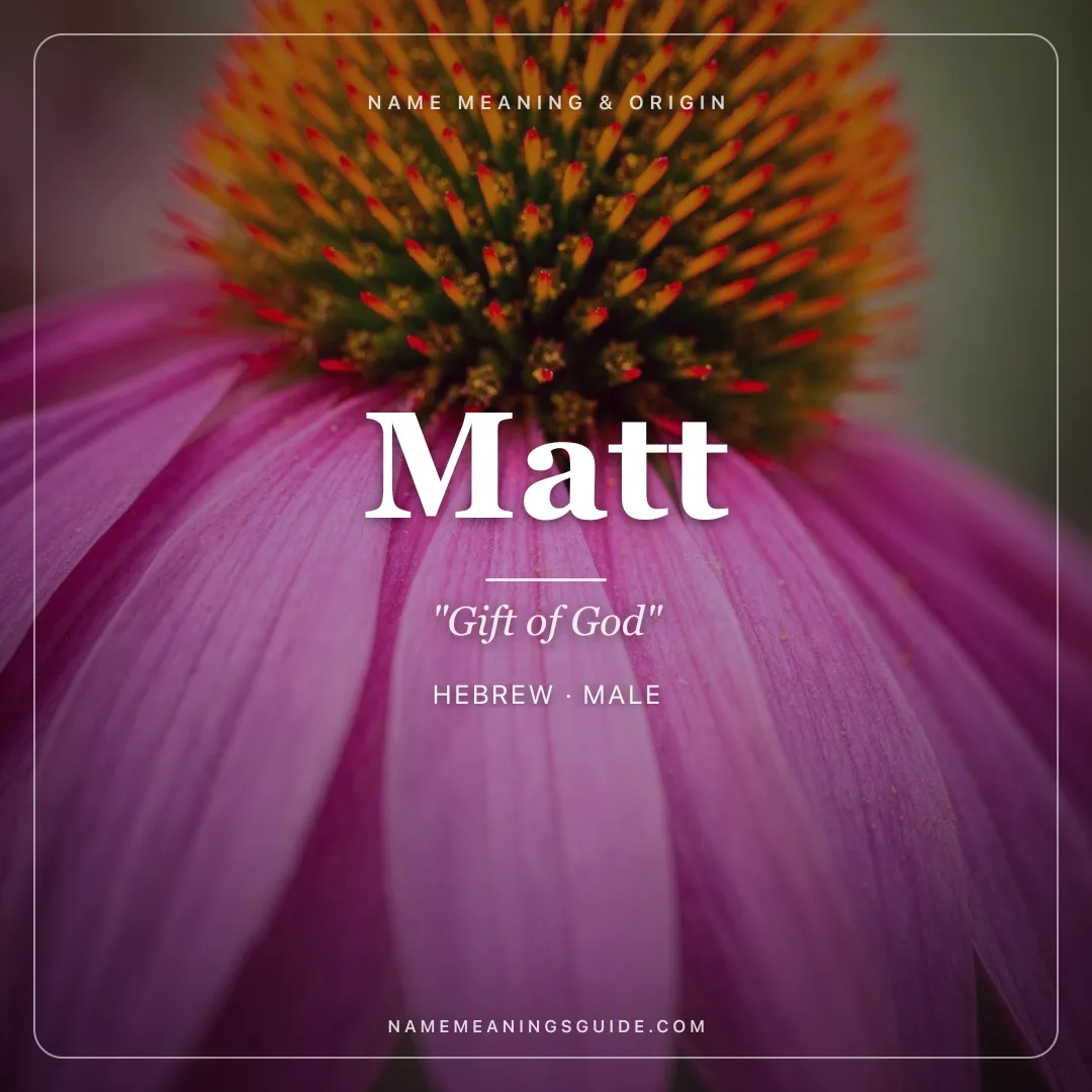 Matt name meaning "Gift of God" - Hebrew male name share card | NameMeanings