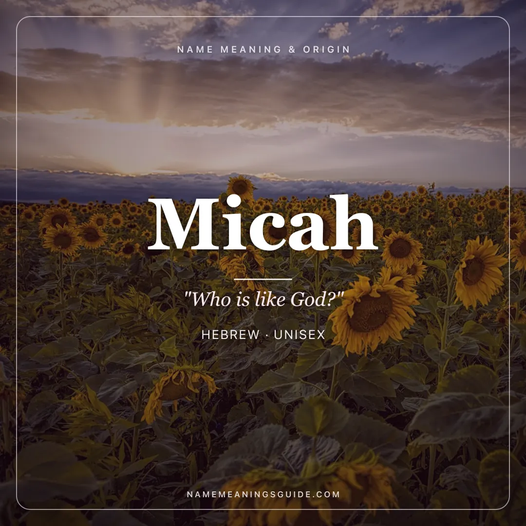 Micah name meaning "Who is like God?" - Hebrew unisex name share card | NameMeanings