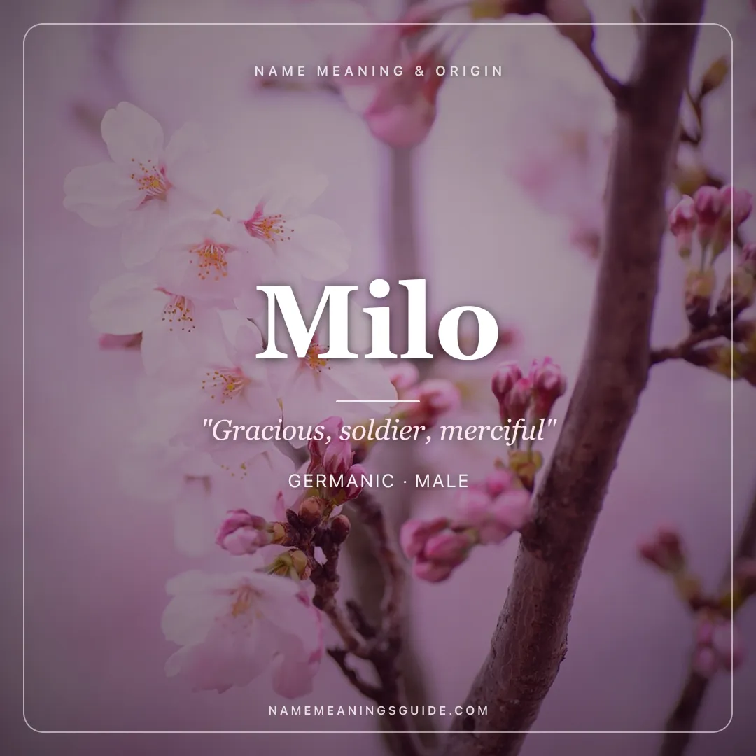 Milo name meaning "Gracious, soldier, merciful" - Germanic, Latin male name share card | NameMeanings