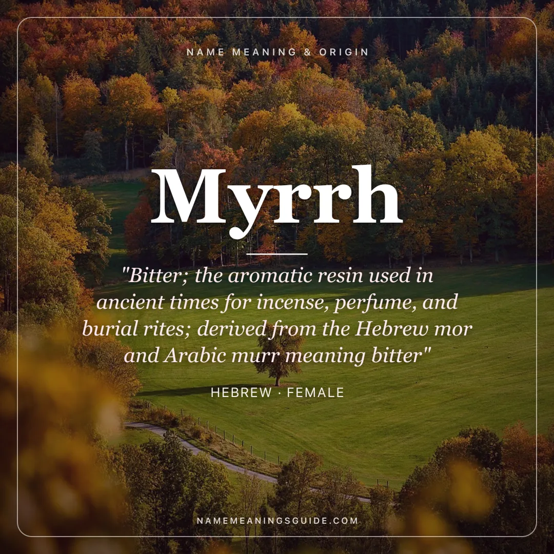 Myrrh name meaning "Bitter; the aromatic resin used in ancient times for incense, perfume, and burial rites; derived from the Hebrew mor and Arabic murr meaning bitter" - Hebrew female name share card | NameMeanings