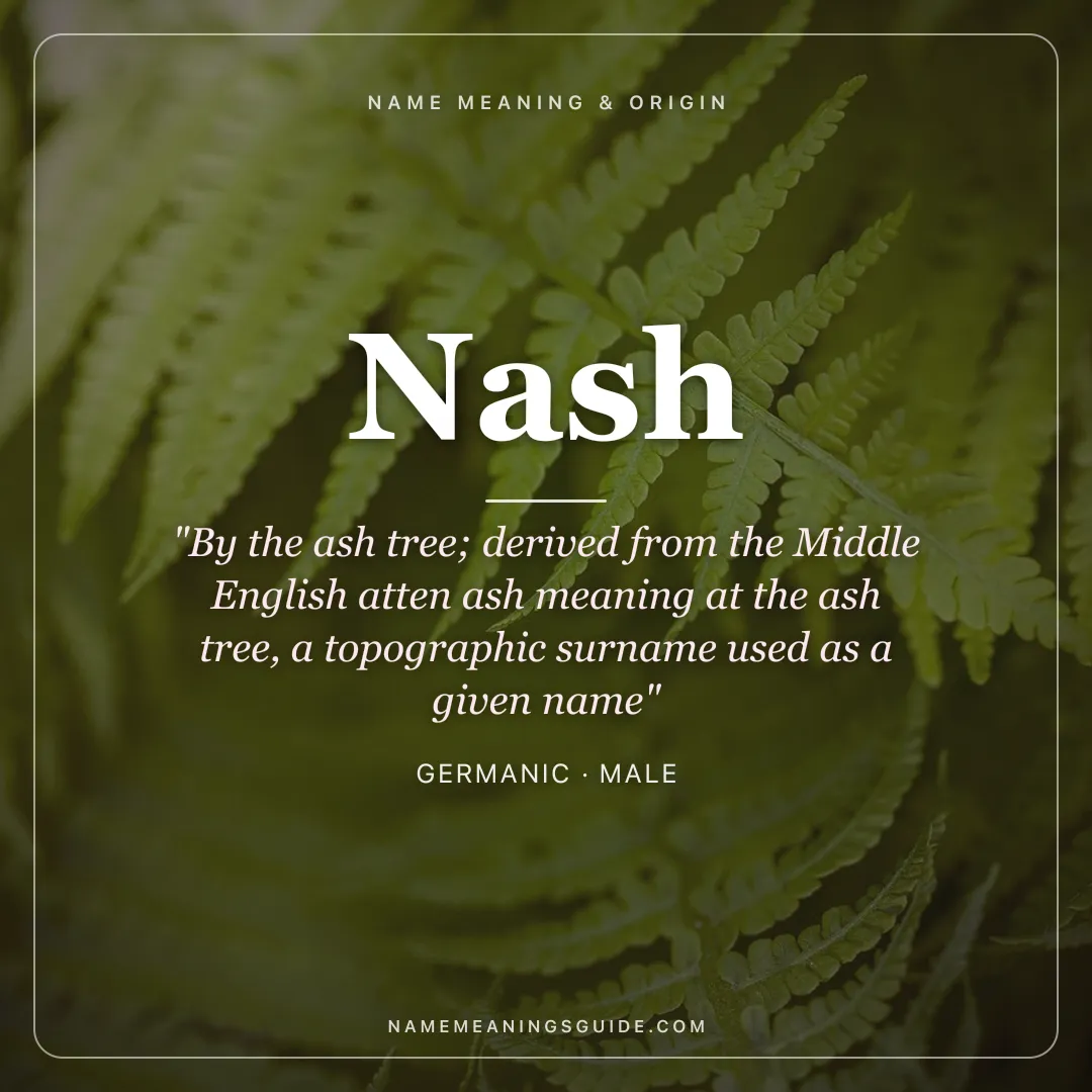 Nash name meaning "By the ash tree; derived from the Middle English atten ash meaning at the ash tree, a topographic surname used as a given name" - Germanic male name share card | NameMeanings